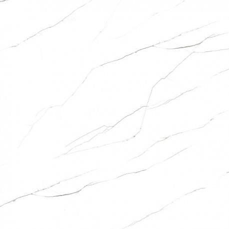 h1661h1661.jpg