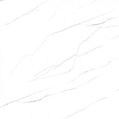 h1661h1661.jpg