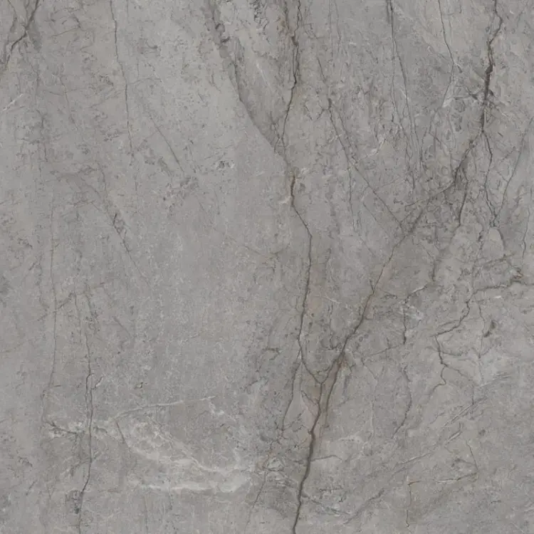 visioner_grey_poler_120x120_T1.jpg