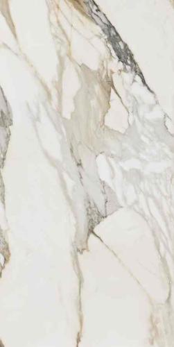 319cff9e3e1368fe5c6c81d56e2c7228