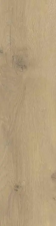 8ca08d3b1959aa5187d5207998cf7e53