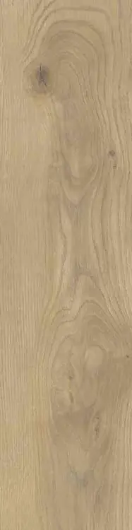 000bbe1ce8f4d68c355dceee717dbb6b