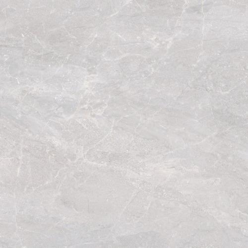TRENTO GRIS 60X60 LAPPATO.jpg