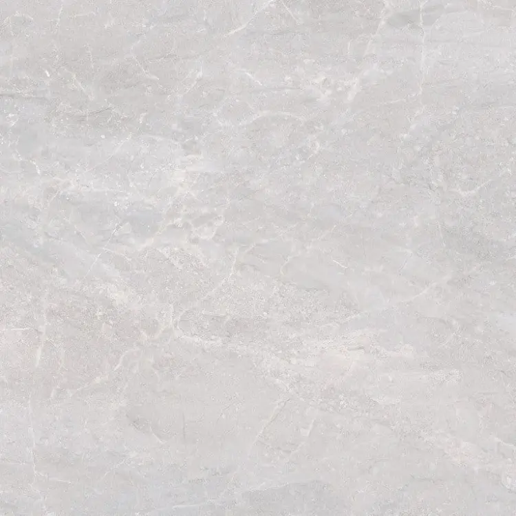 TRENTO GRIS 60X60 LAPPATO.jpg