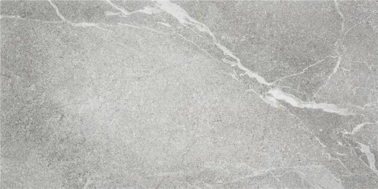 SLIPSTOP BODO GREY MATE 60X120 RECT..jpg