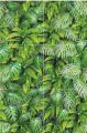 green wall.JPG