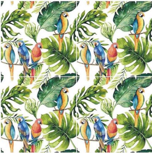 parrots white 4 szt.JPG