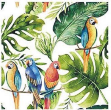 parrots white.JPG