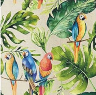 parrots beige.JPG