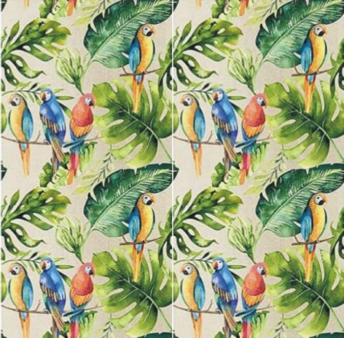 parrots beige 4 szt.JPG