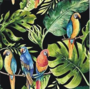 parrots black.JPG
