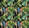 parrots black 4szt.JPG
