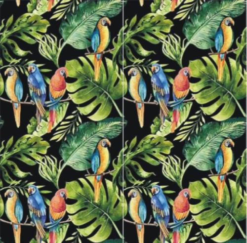 parrots black 4szt.JPG