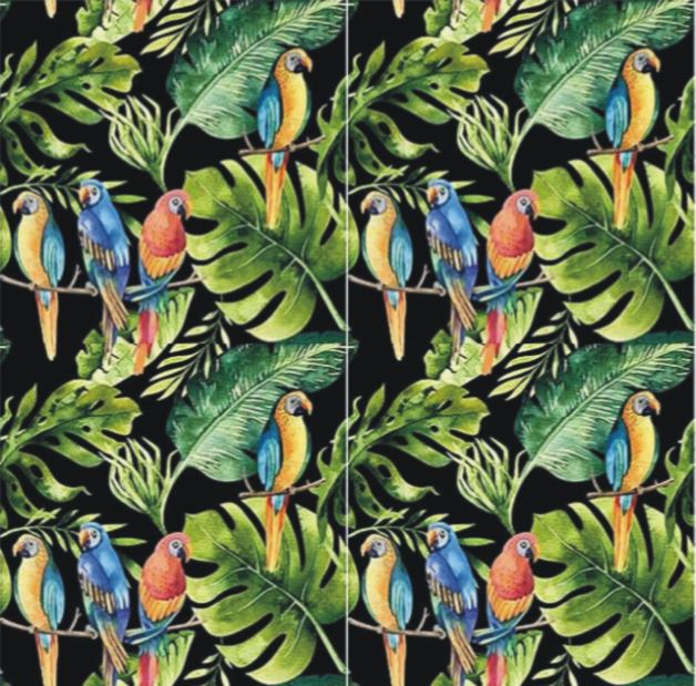 parrots black 4szt.JPG