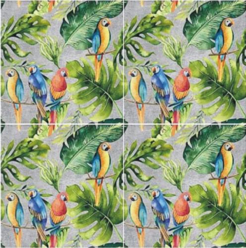 parrots cement 4 szt.JPG