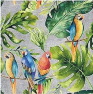 parrots cement.JPG