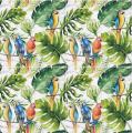 parrots marble 4szt.JPG