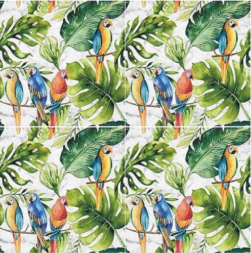 parrots marble 4szt.JPG