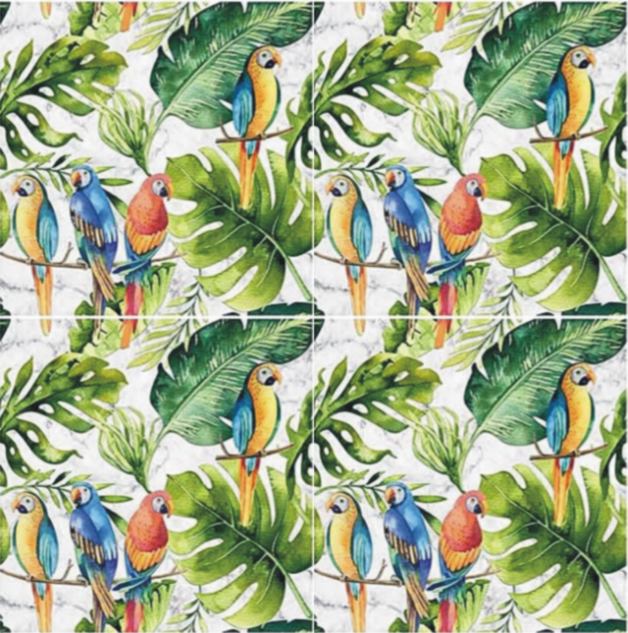 parrots marble 4szt.JPG