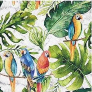 parrots marble.JPG