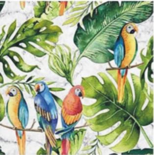 parrots marble.JPG
