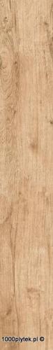 CARVALHO LIGHT GOLD 19,5X120.jpg
