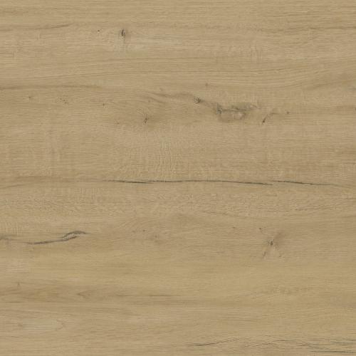 23e757bcaf989fc767fb1fdfeceb421e