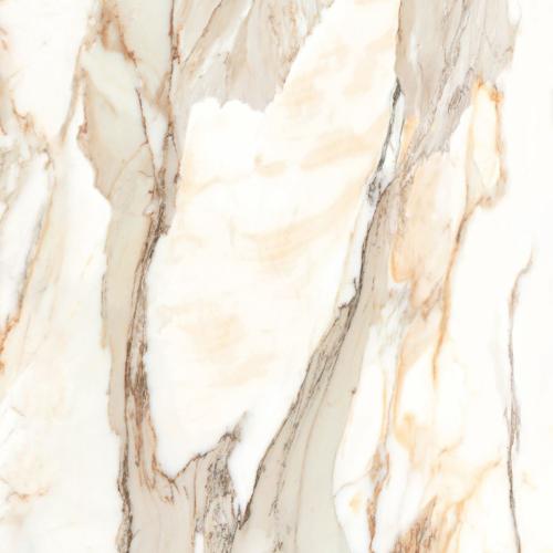 e5a77c129d283b8fa3e310d0b42cf4c1