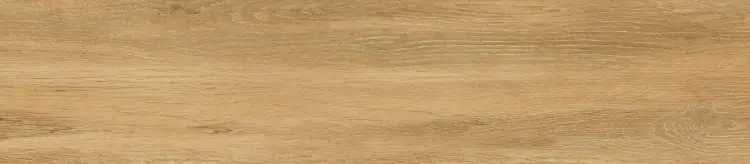 a8a282647216c56388462002864918e2