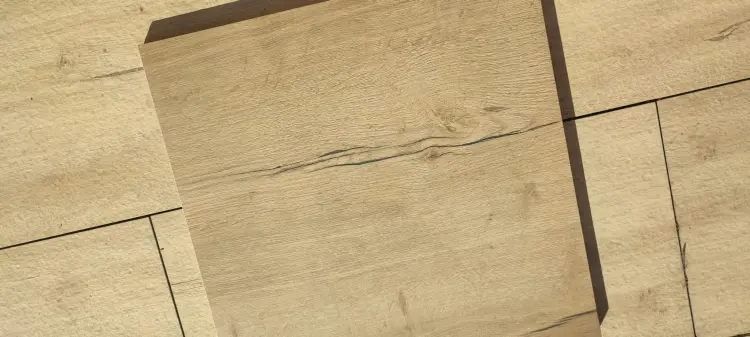 1647092918865.jpg