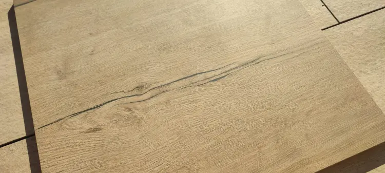 1647092919004.jpg