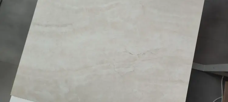 1654177645040.jpg