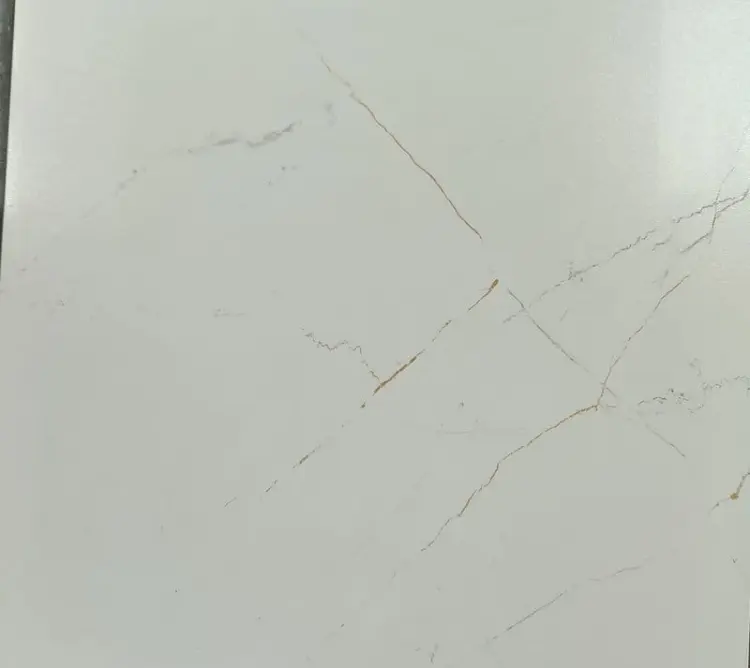 1657634956861.jpg