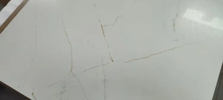 1657634956895.jpg