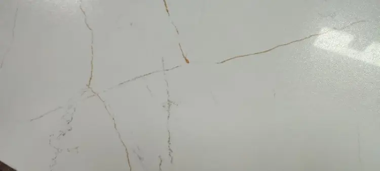 1657634956914.jpg