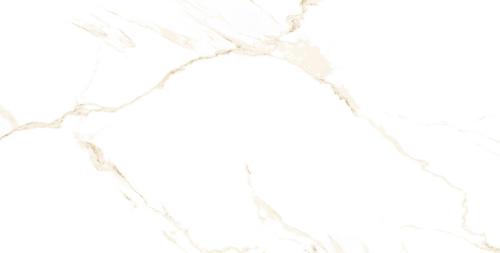 h1615h1615.jpg