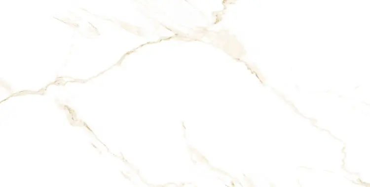 h1615h1615.jpg