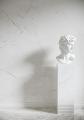 brazilian-quarzite-natural-marmo-thassos-white-poler-salon-cam4-final-1.jpg