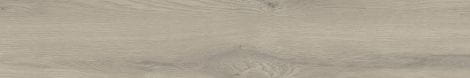 Taiga Grey30x120.jpg