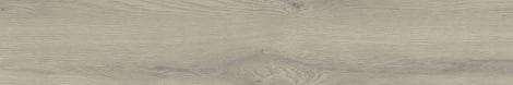 Taiga Grey30x120.jpg