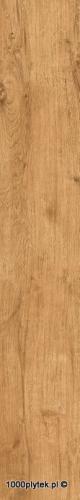 CARVALHO GOLD 19,5X120 GAT.1 ATEM.jpg