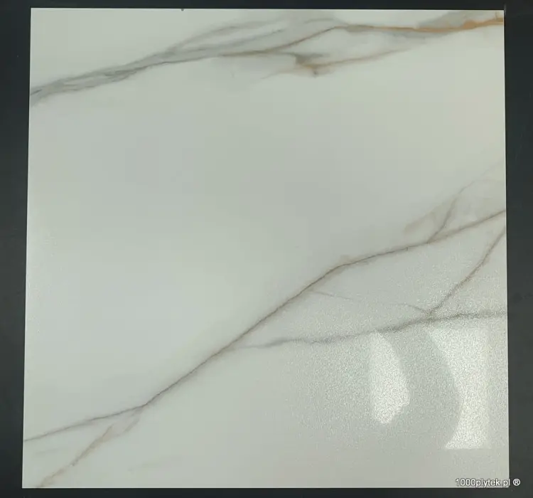 1675871209953.jpg