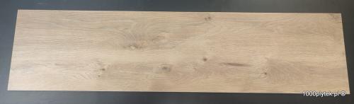1675871209259.jpg