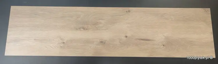 1675871209259.jpg
