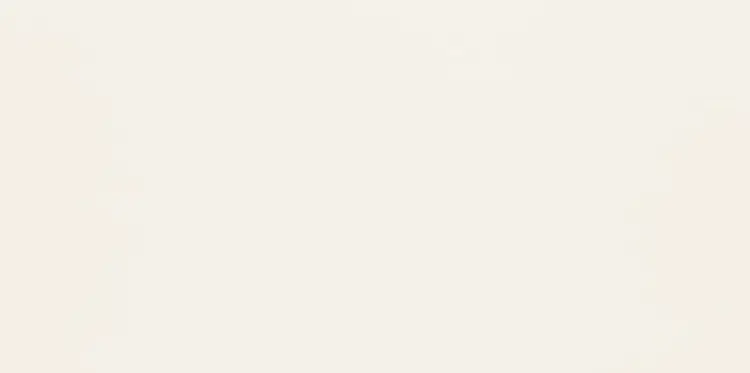PS-Duo-white-598x298-1.jpg