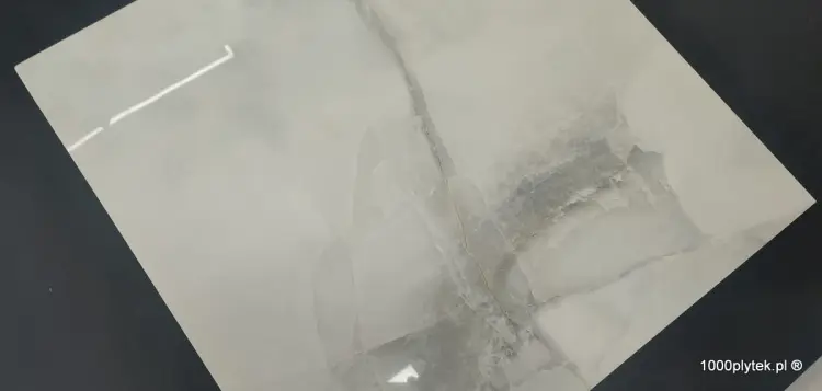 1676465517956.jpg