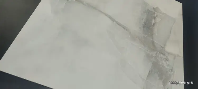 1676465517940.jpg