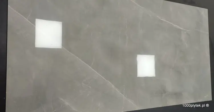 1676465605255.jpg
