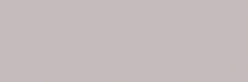PR8986BI1785_8433019157434_FUSION_GRIS_MATE_SZ2_1.jpg
