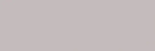 PR8986BI1785_8433019157434_FUSION_GRIS_MATE_SZ2_1.jpg